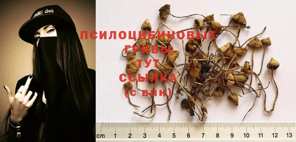 кристаллы Переславль-Залесский